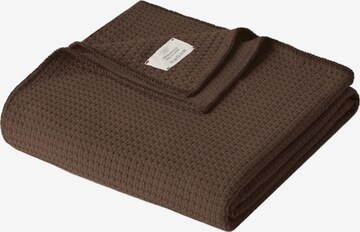 Cradle Studio Blankets in Brown