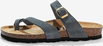 pilka Bayton Šlepetės per pirštą 'Diane': priekis