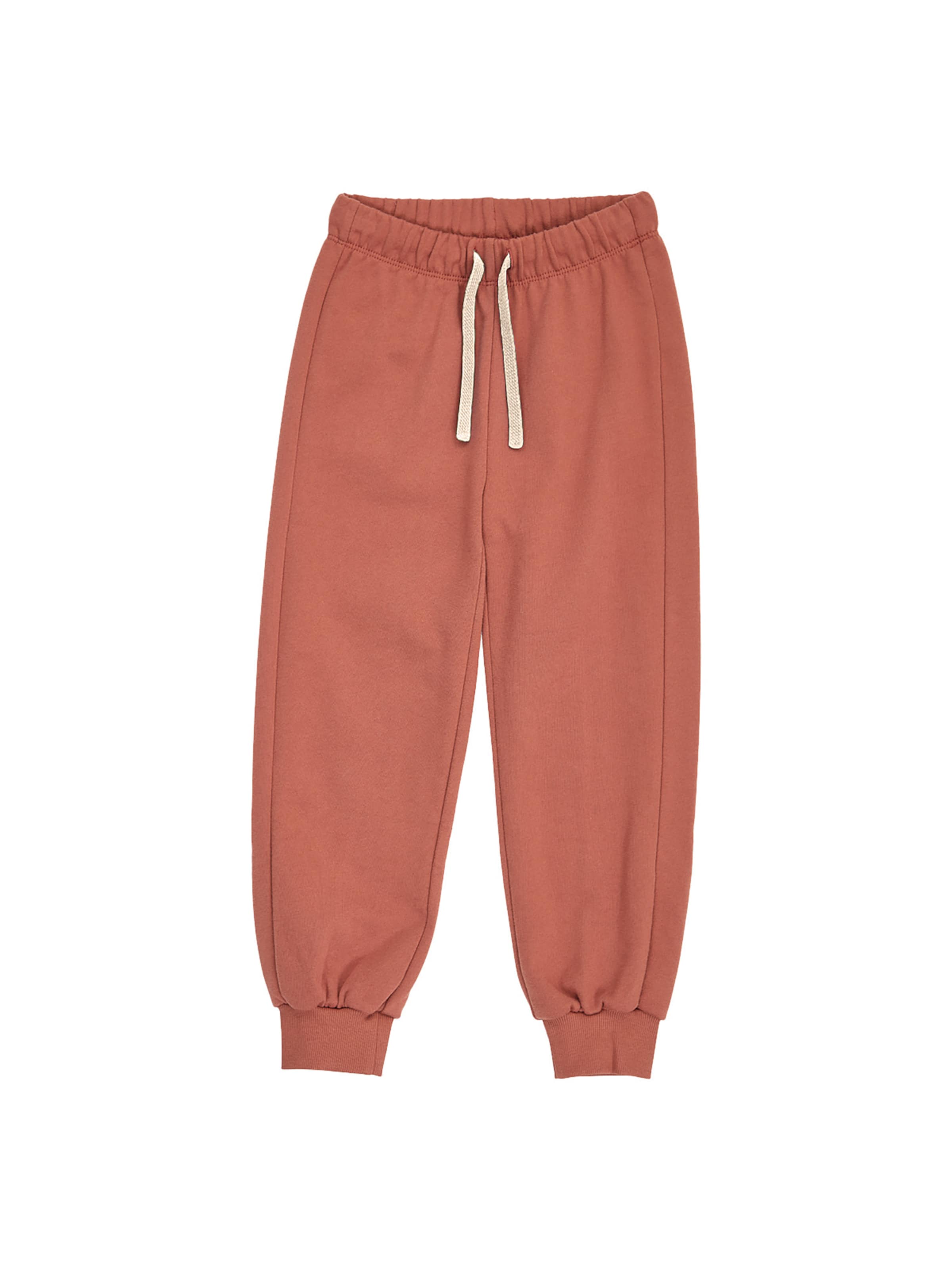 Fred's World by GREEN COTTON Tapered Trousers in Brown: front