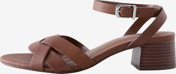 Next Strap sandal 'Forever Comfort®' in Brown: front