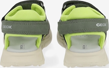 Chaussures ouvertes GEOX en vert