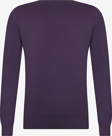 DENIM CULTURE Sweater 'Charlize' in Purple