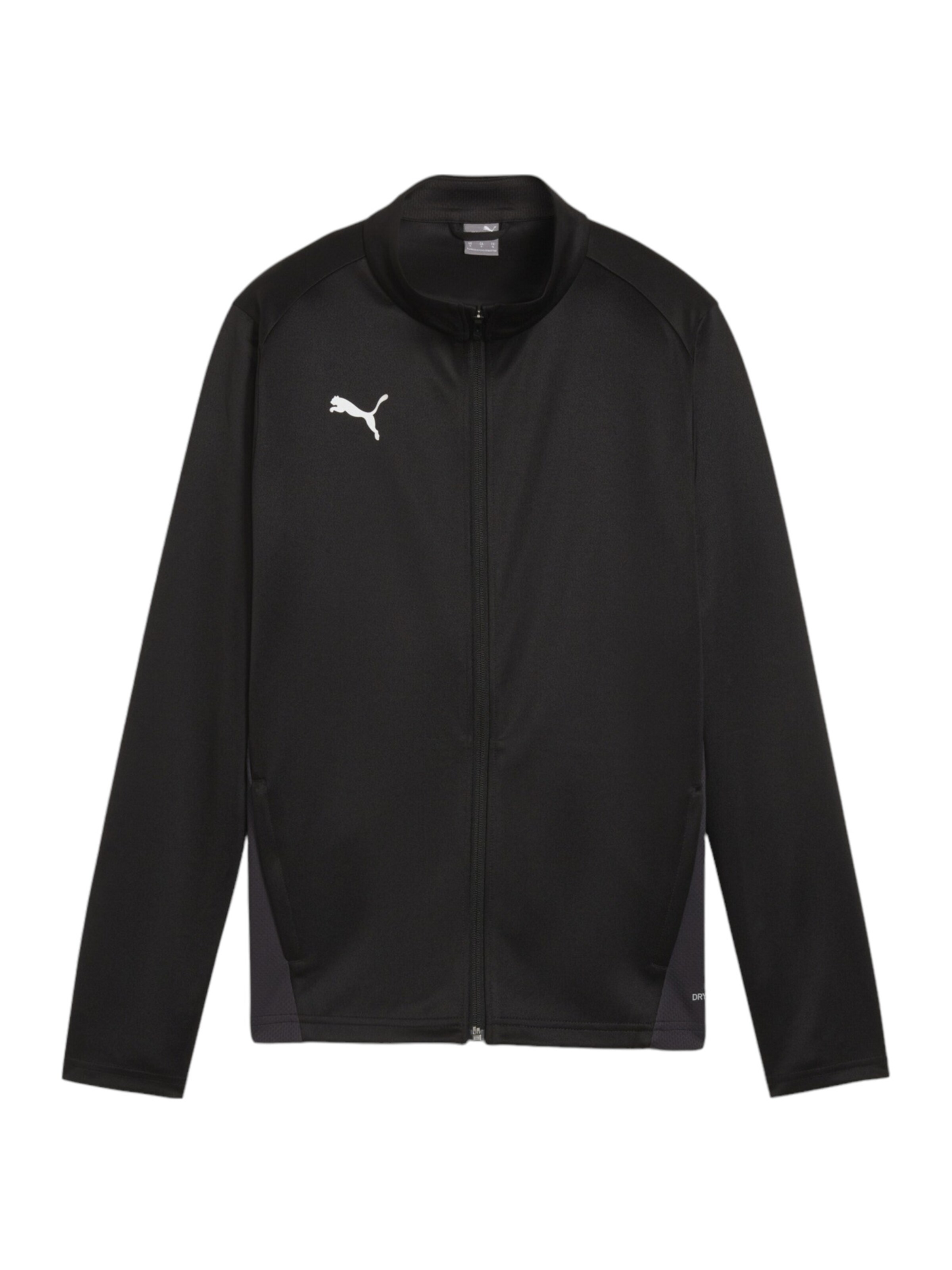 PUMA Trainingsjacke 'TeamGoal' in Schwarz: Vorderseite
