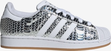 Baskets basses 'SUPERSTAR II' ADIDAS ORIGINALS en argent : devant