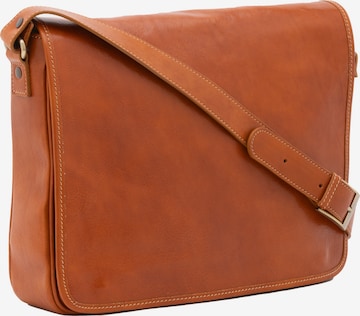 Viola Castellani Crossbody Bag in Brown: front