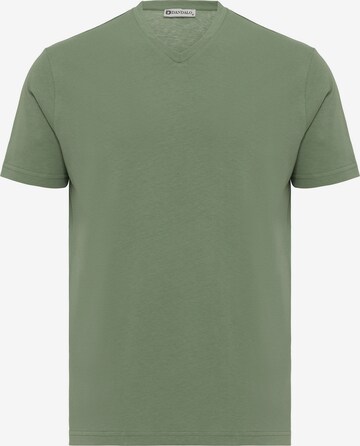 Dandalo T-Shirt in Grün: predná strana