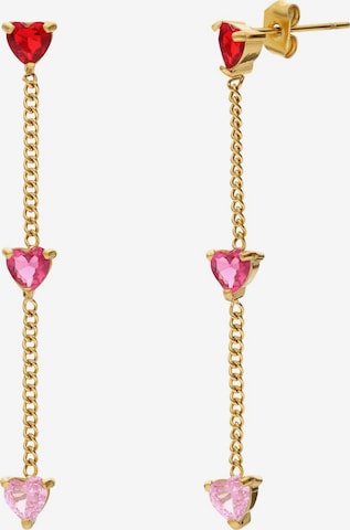 Lucardi Oorbellen in Goud: voorkant