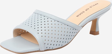 Apple of Eden Pistokkaat 'HOLLEY 78' värissä sininen: etupuoli