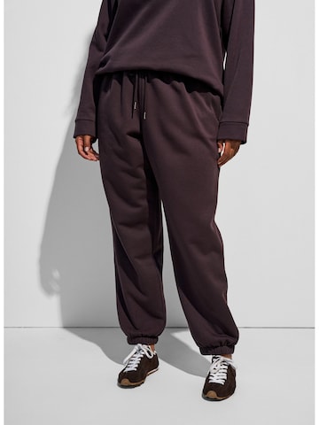 Zizzi Regular Hose 'Flamela' in Braun