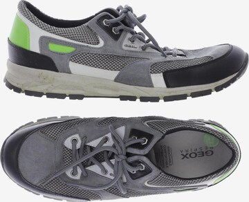GEOX Sneakers & Trainers in 46 in Grey: front