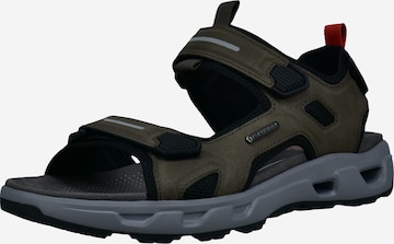 SALAMANDER Sandale in Grün: Vorderseite