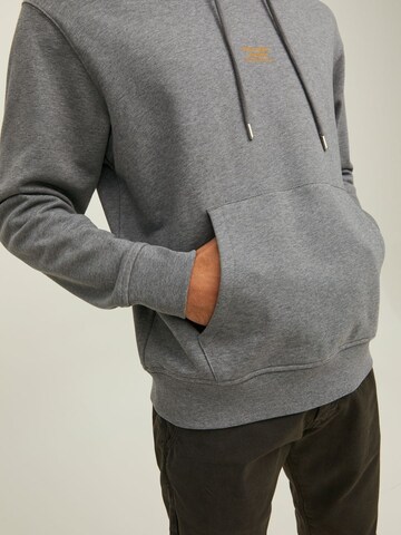 R.D.D. ROYAL DENIM DIVISION Sweatshirt 'Bill' in Grijs