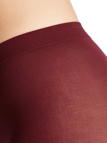 FALKE Strumpfhose 'Cotton Touch'‌‌‌‌‌‌‌‌‌‌ in Rot