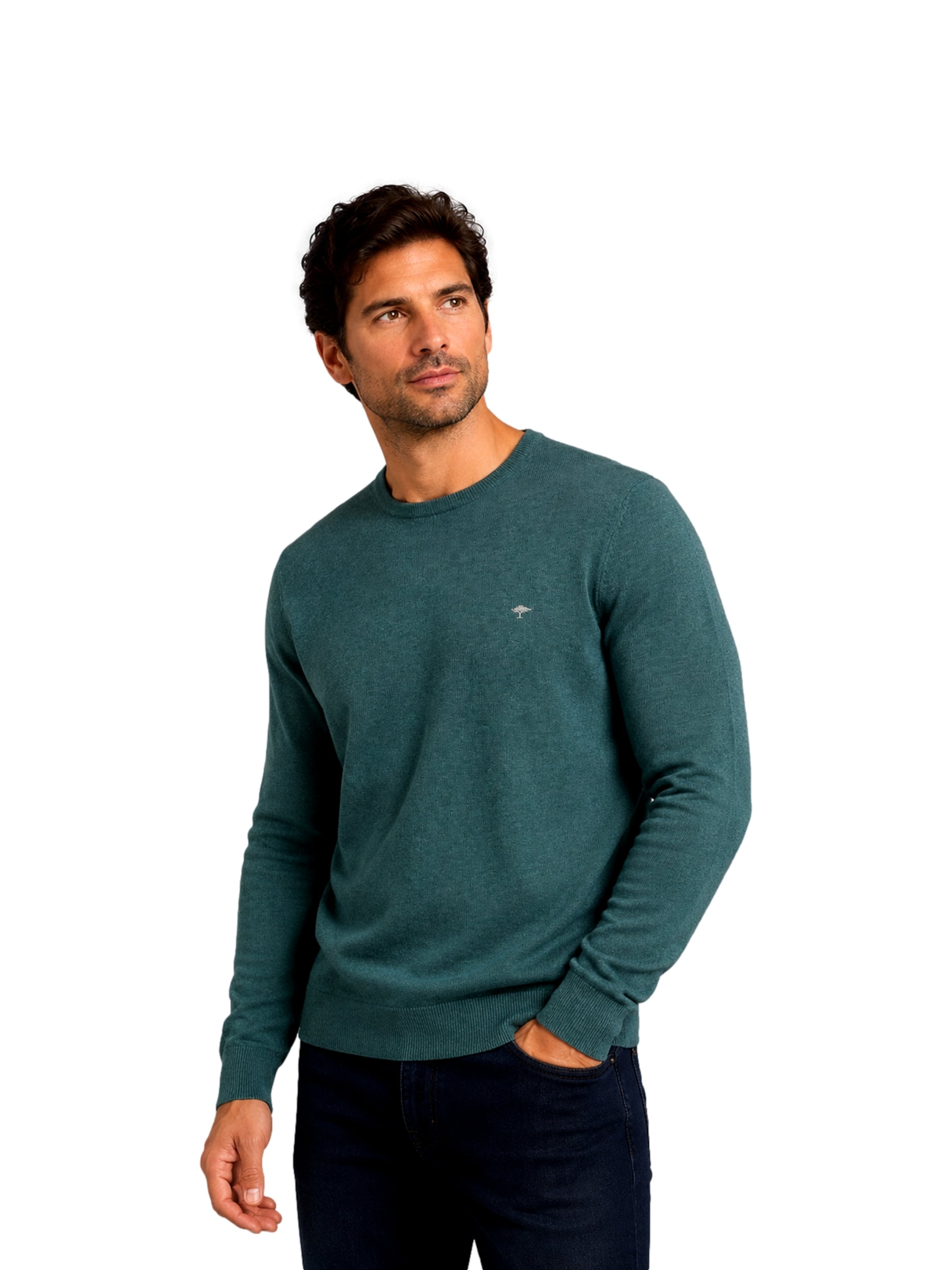 Pullover di FYNCH-HATTON in verde: frontale