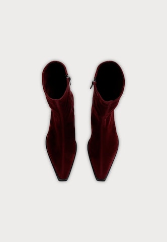 raudona Kennel & Schmenger Aulinukai 'CALLA'