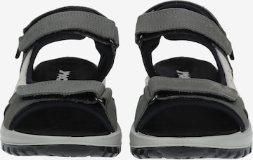 IMAC Sandals in Grey