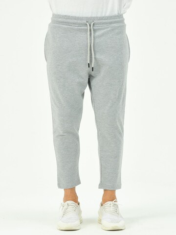 C&City Tapered Broek in Grijs