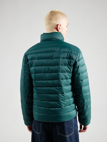 žalia HOLLISTER Žieminė striukė