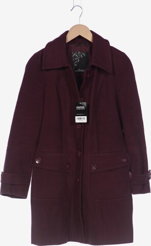 Steilmann Jacket & Coat in S in Purple: front