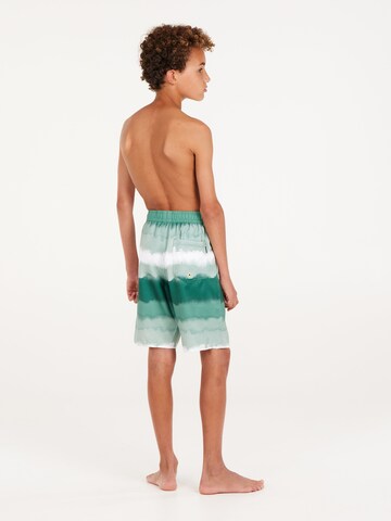 PROTEST Board Shorts 'PRTABEL JR' in Green