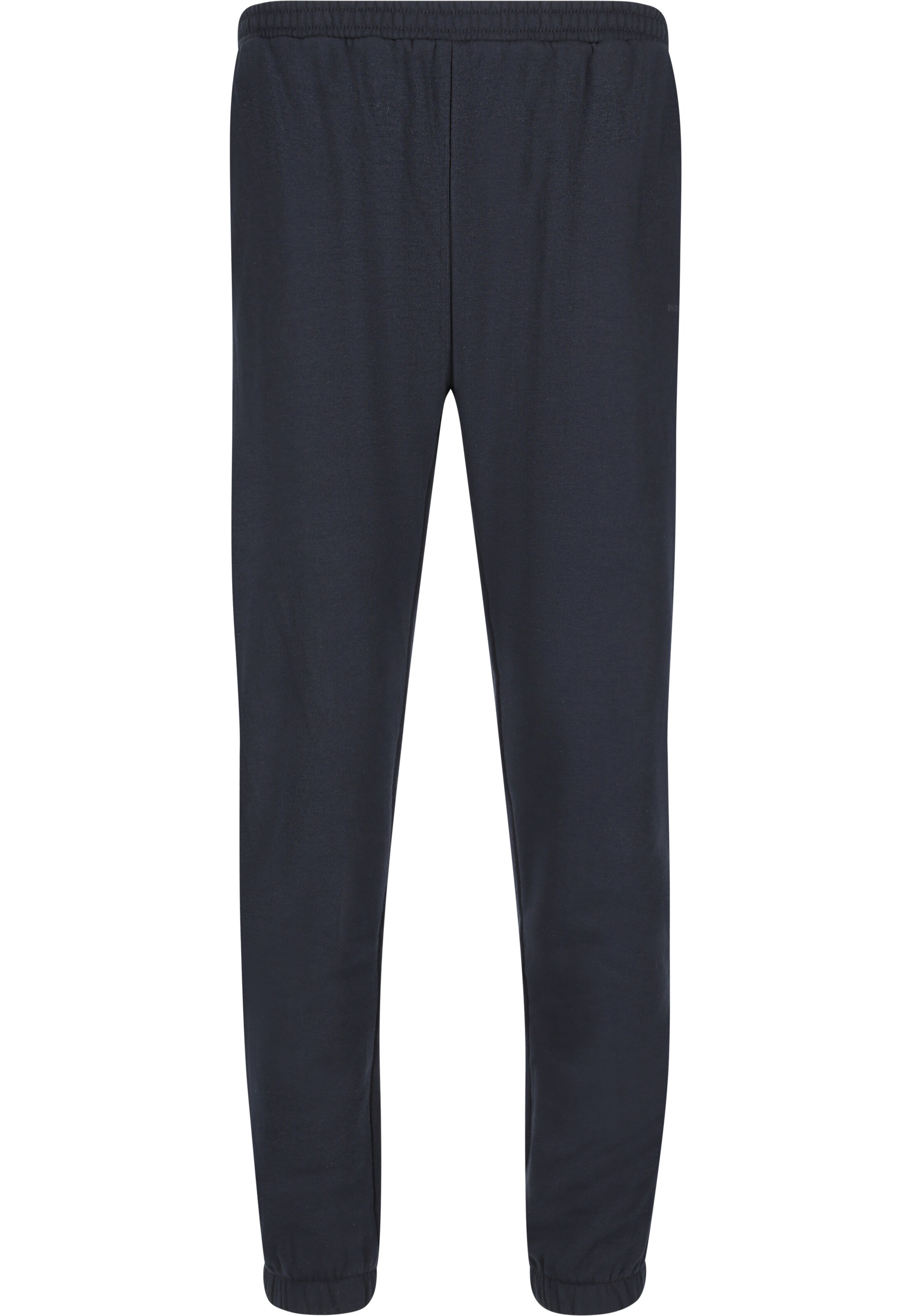 ENDURANCE Regular Sweatpants 'Arlanc jr.' in Blau: Vorderseite