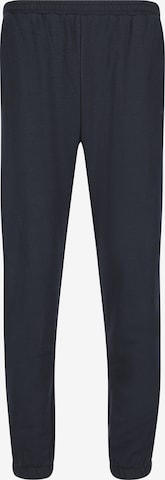 ENDURANCE Regular Sweatpants 'Arlanc jr.' in Blau: Vorderseite