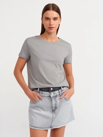 Dilvin T-Shirts in Grau: Vorderseite