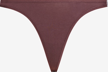 Calvin Klein Underwear String in Pink: front