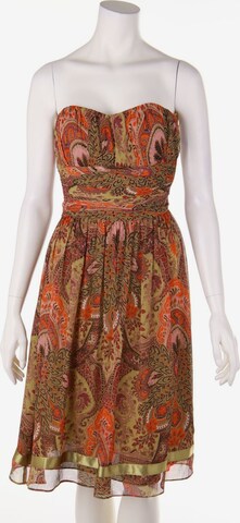 Ted Baker Dress in XXS in Mixed colors: front