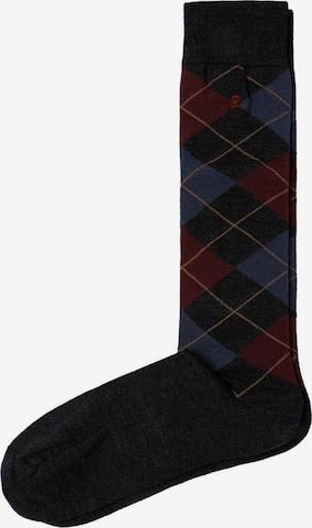 Scalpers Sukat 'Rombo' värissä musta: etupuoli