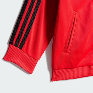 Tuta da jogging 'Adicolor Firebird' di ADIDAS ORIGINALS in rosso