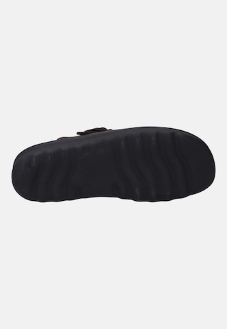Westland Slipper 'METZ' in Brown