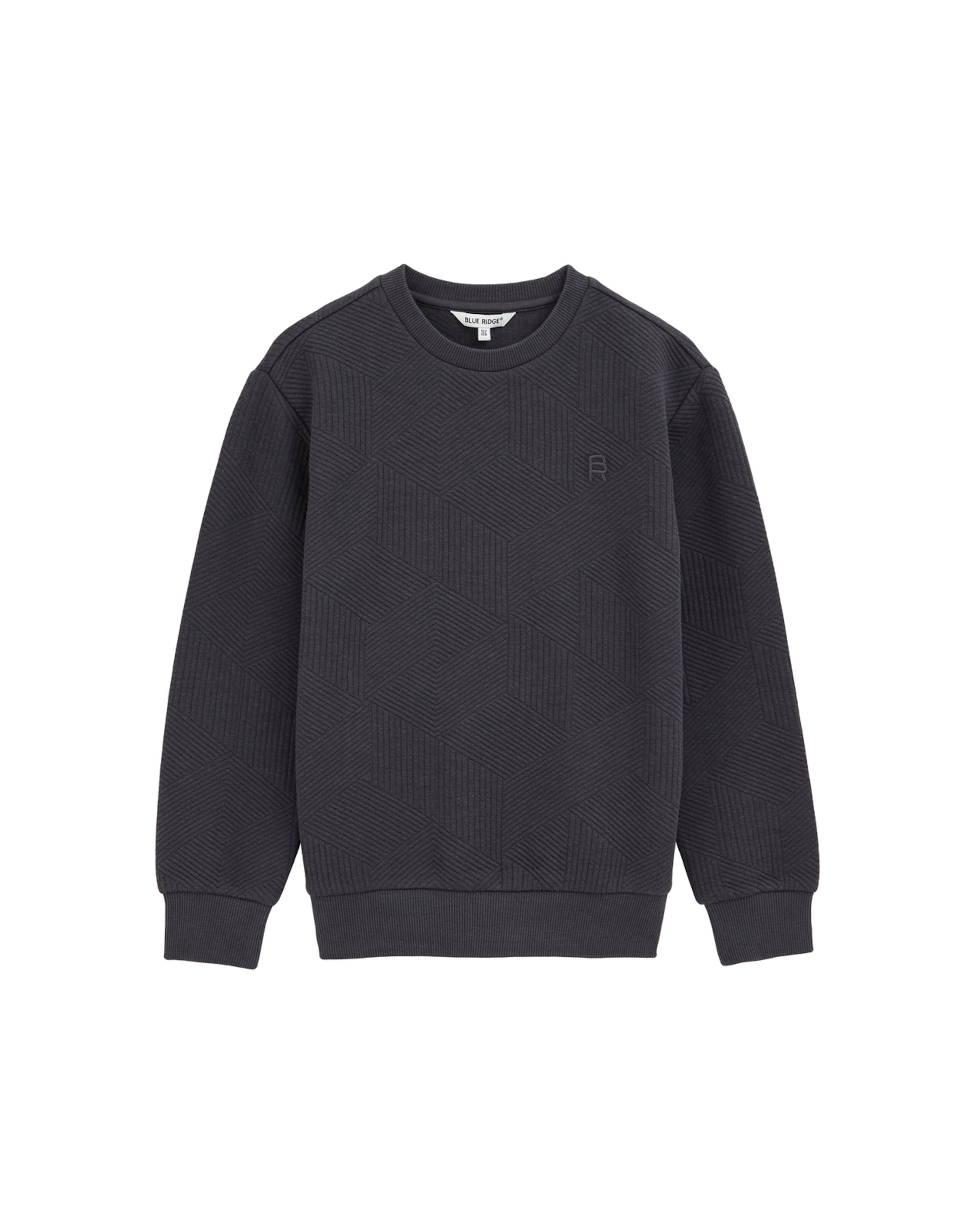 WE Fashion Μπλούζα φούτερ σε γκρι: μπροστά