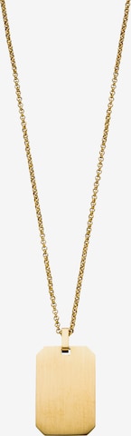 Steelwear Collier 'Melbourne' in Gold