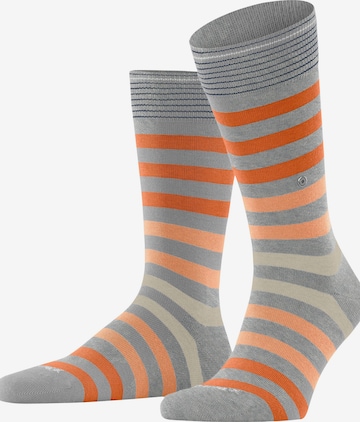 BURLINGTON Socken 'Blackpool' in Grau: Vorderseite