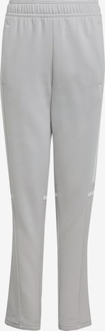 ADIDAS PERFORMANCE Sporthose 'Squadra 25' in Grau: Vorderseite