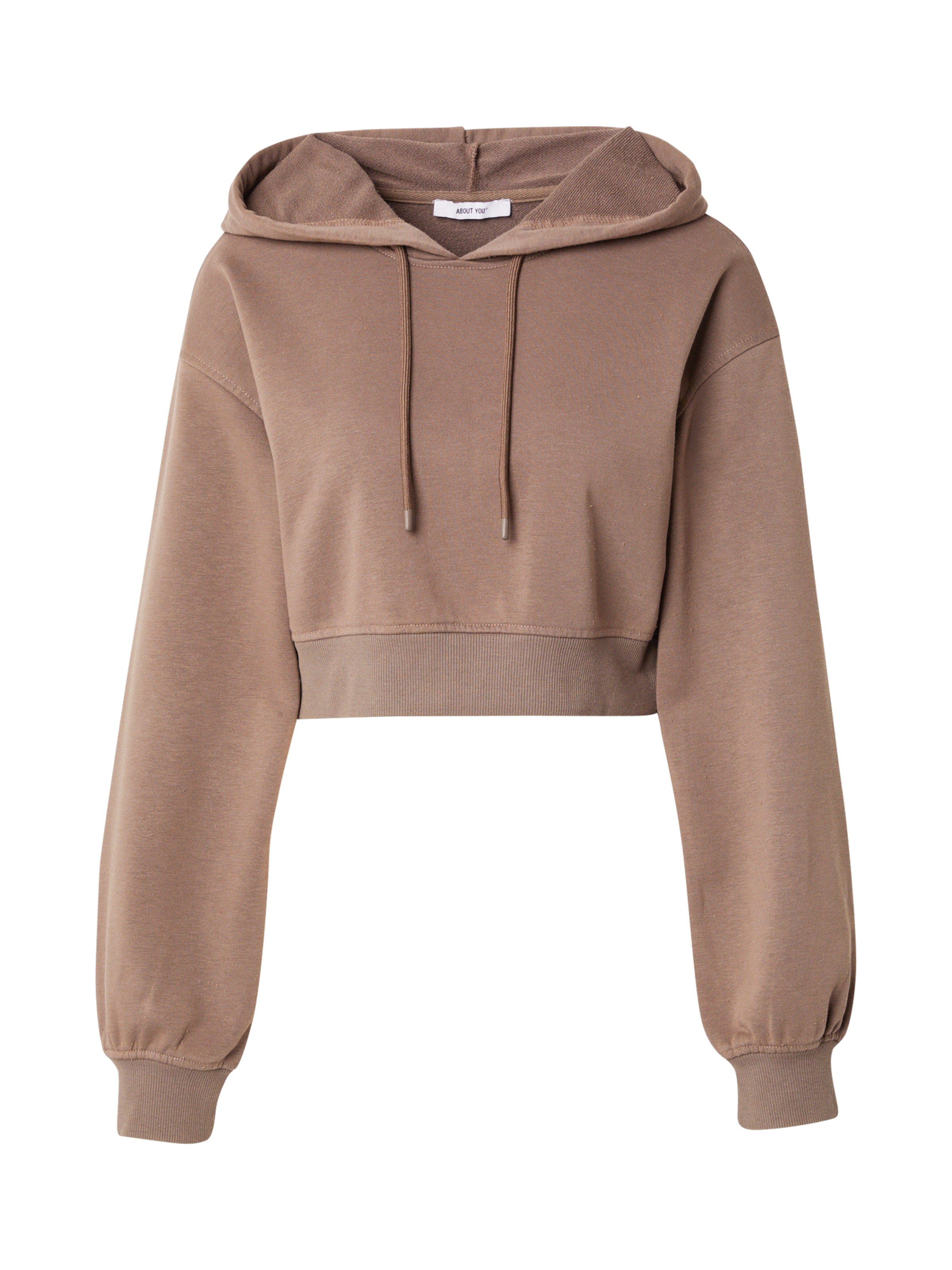 ABOUT YOU Μπλούζα φούτερ 'Jill' σε καφέ: μπροστά