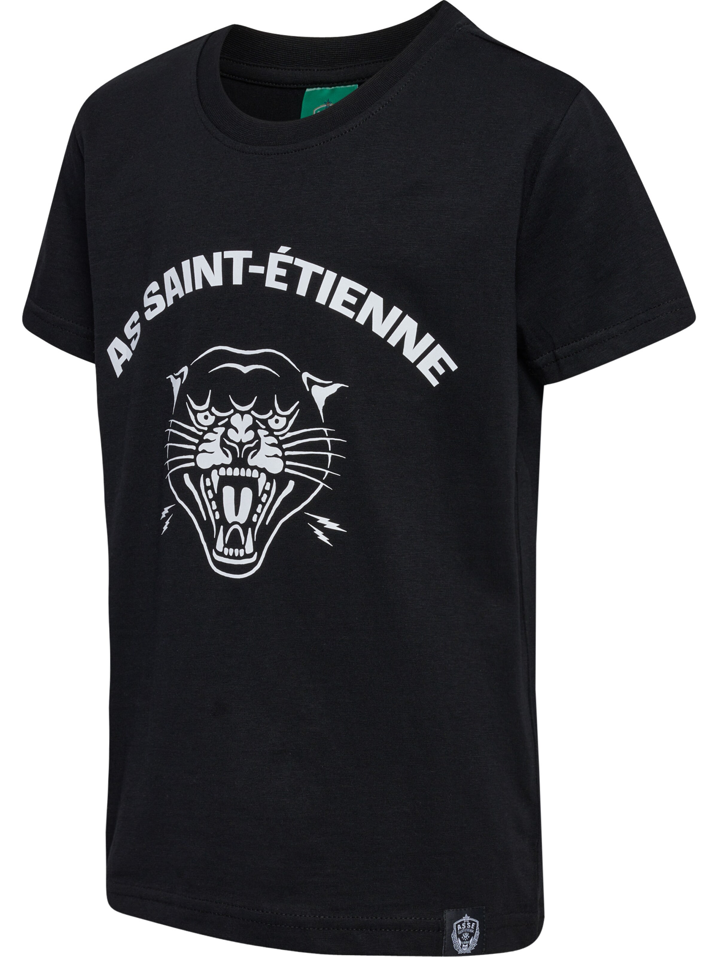 Hummel Performance shirt 'As Saint Etienne' in Black