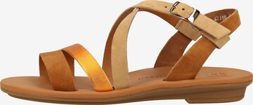 Paul Green Strap Sandals in Brown