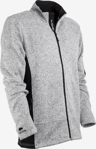 FORSBERG Sweatshirt 'Arvid' in Grey