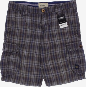 ESPRIT Shorts 33 in Grau: predná strana