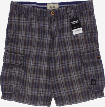 ESPRIT Shorts in 33 in Grey: front