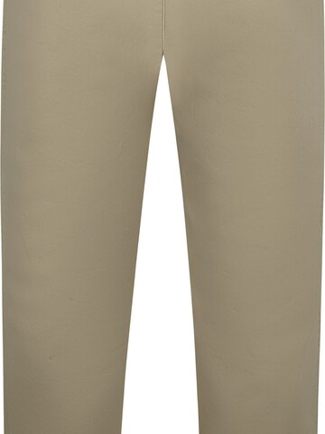 Steppin' out Regular Chino in Groen