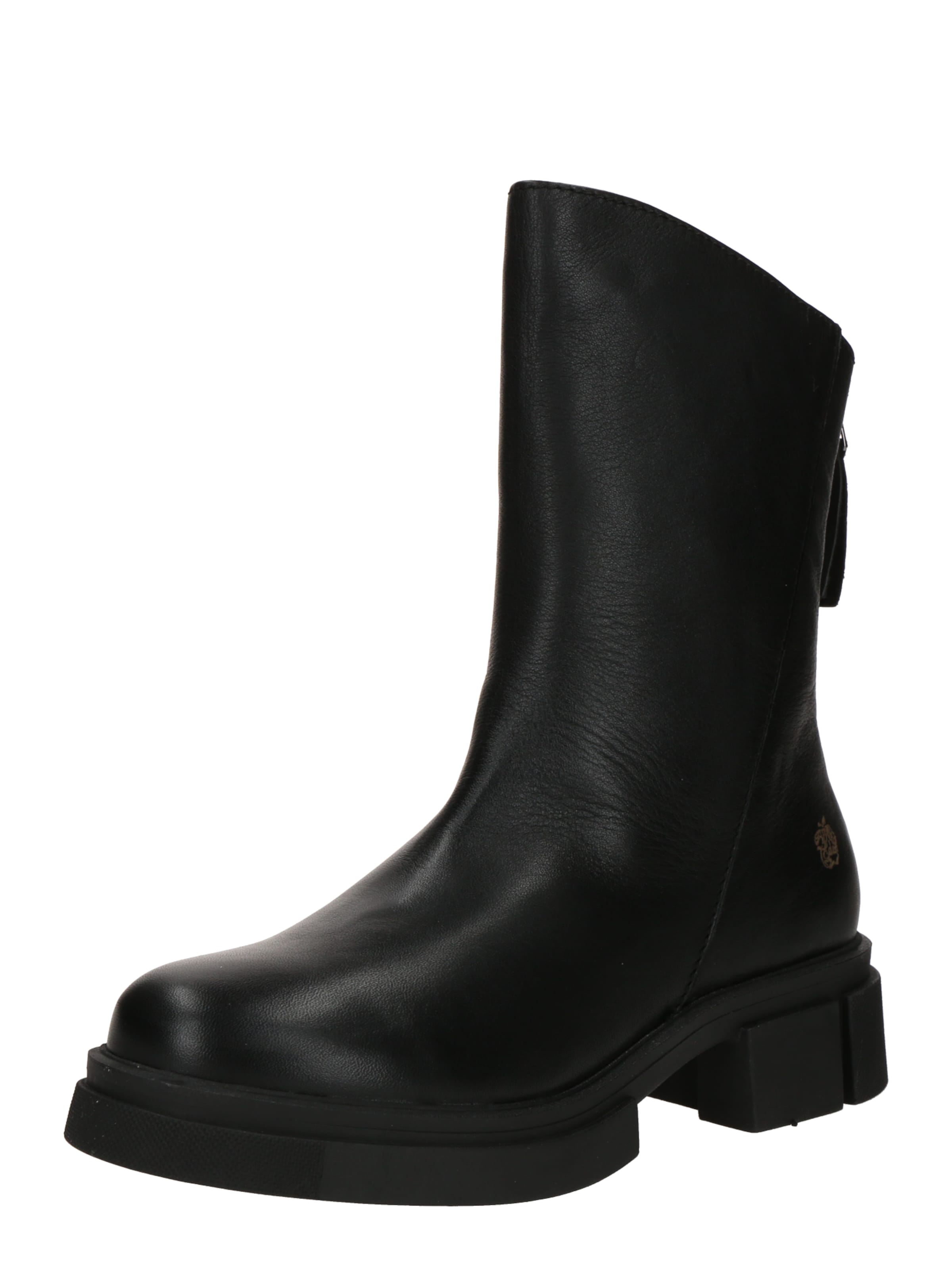 Apple of Eden Boots 'Giselly' in Black: front