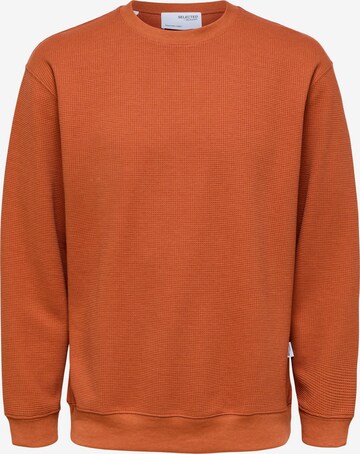 SELECTED HOMME Sweatshirt i brun: framsida