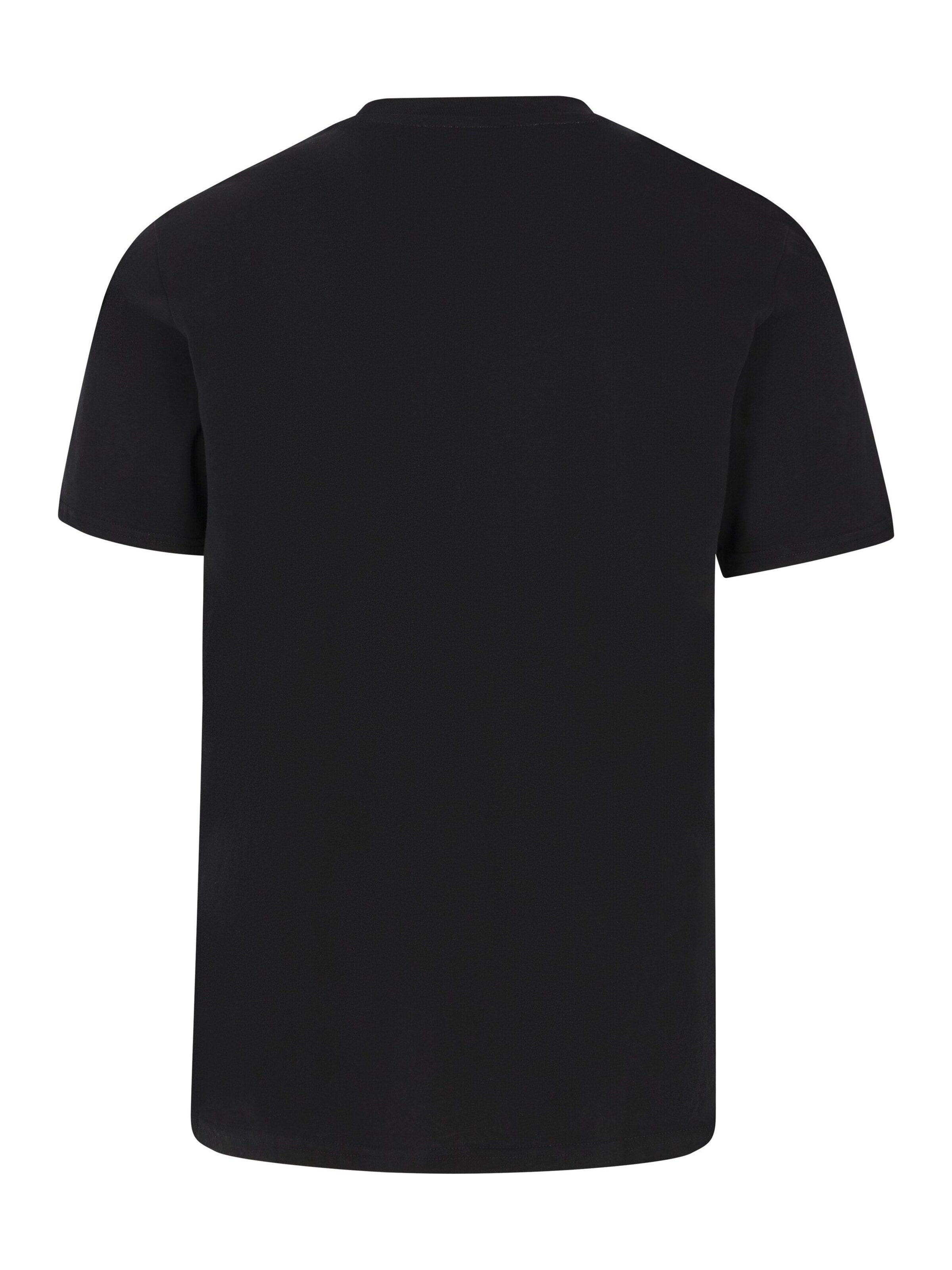 PROTEST Shirt 'PRTBarn' in Black