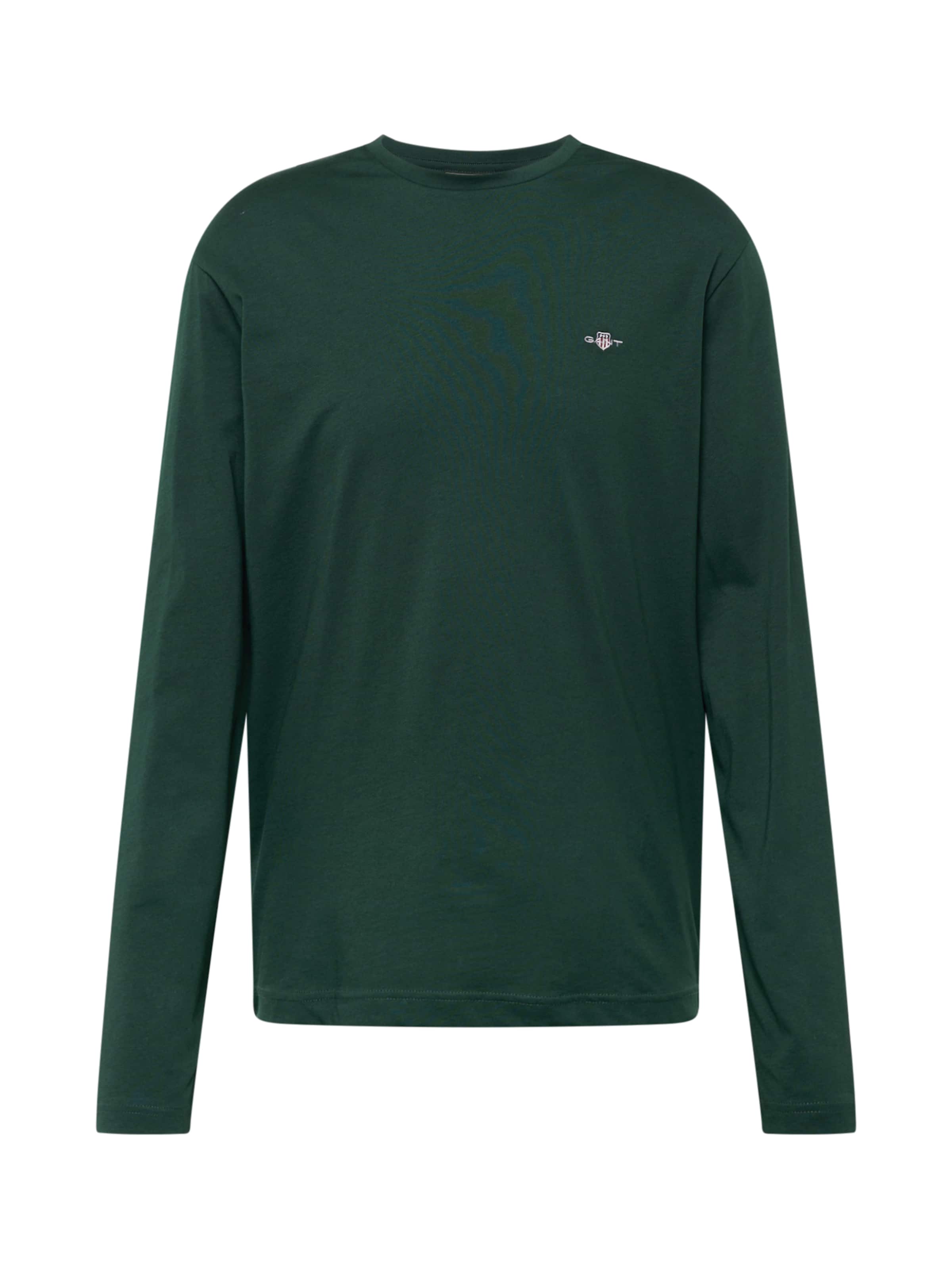 Maglietta di GANT in verde: frontale