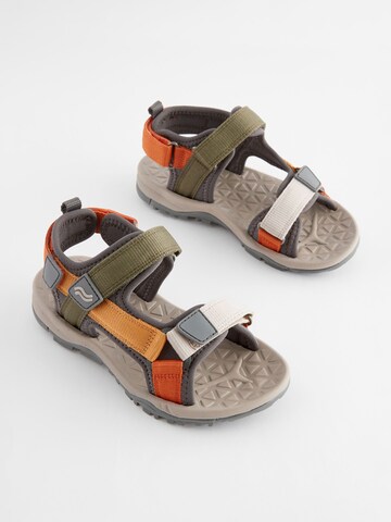 Calzatura aperta di Next in grigio