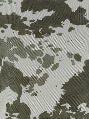 Sublevel Shirt in Green