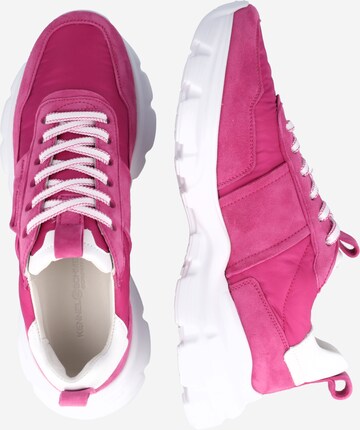 Kennel & Schmenger - Zapatillas deportivas bajas 'FEVER' en rosa